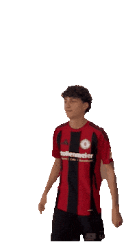 David Sticker by tsvhuettlingen1892