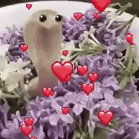 Dog Twitter GIF