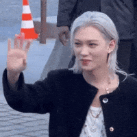 Cat Tongue GIF