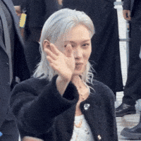 Cat Tongue GIF