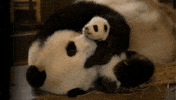 Mama GIF by Neon Panda MX