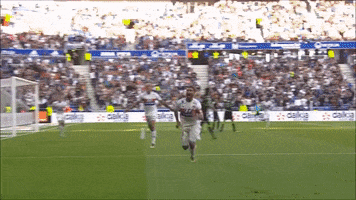 goal lyon GIF by Olympique Lyonnais