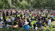 Mcgilltogether GIF by McGill University