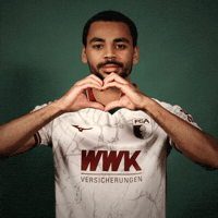 Bundesliga Alexis GIF by FC Augsburg 1907