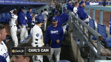 Major League Baseball Sport GIF by MLB