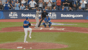 Blue Jays Baseball GIF by Toronto Blue Jays