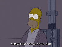 homer simpson GIF