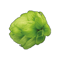 Brauerei Hopfen Sticker by Privatbrauerei Waldhaus