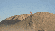 espn film GIF by X Games 