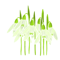 Flower Sticker by Increase Creativity