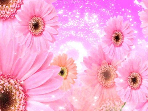 slatefr giphyupload GIF