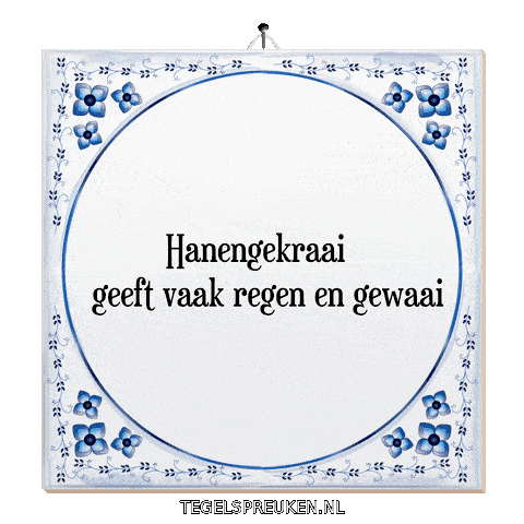 Nl Wijsheid Sticker by Tegelspreuken.nl