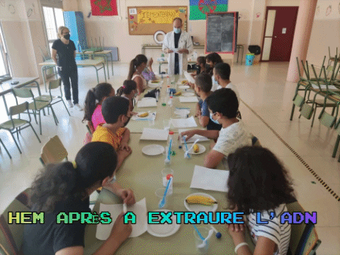 IEMediterrani giphygifmaker casal2021 iemediterrani campclar GIF