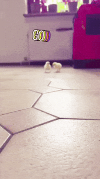 Run Go GIF