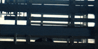 Dream Big Timothee Chalamet GIF by A24