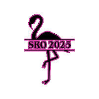 Southern Region Oireachtas Sticker by KAID