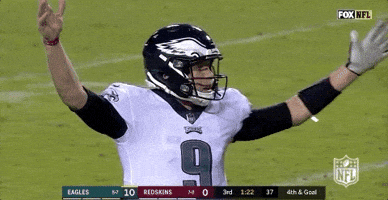 2018 nfl football GIF by NFL
