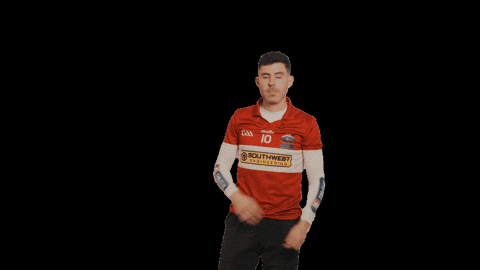 All-Ireland Camogie GIF by AIB