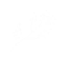 Flower Plant Sticker