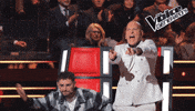 The Voice Bravo GIF by The Voice of Italy