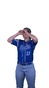 Italia Italiateam Sticker by FIBS - Federazione Italiana Baseball Softball
