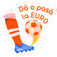 Euro 2024 Football Sticker by TotoGaming