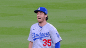 Regular Season Sport GIF by MLB
