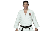 Fight Swipe Up Sticker by Czech judo