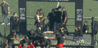 Celebration GIF by Major League Soccer