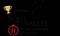 Horse Win GIF by Equivallée - Haras national de Cluny