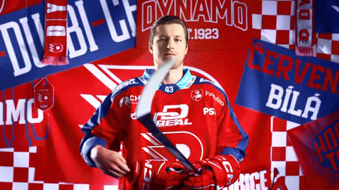 Daniel Gazda GIF by HC Dynamo Pardubice