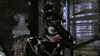 meow GIF