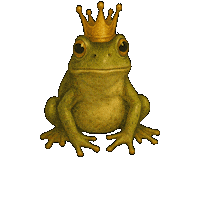 TashaZima frogs zimawrites tashazima ashbylake Sticker