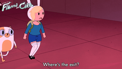 Adventure Time Fionna And Cake GIF by Cartoon Network