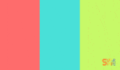 Farm Animals Chicken GIF by Super Simple