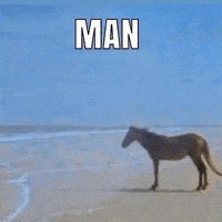 Sea Horse Man GIF