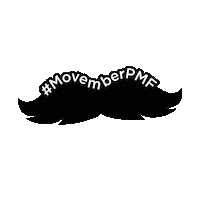 Movemberpmf Sticker by Publicis Media France