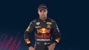 Red Bull Sport GIF by Red Bull Racing Honda