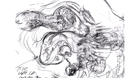 animation studio GIF by Alex Boya