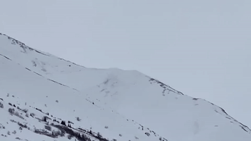 Explosives Detonated After Avalanche Buries Alaskan Road in 40 Feet of Snow