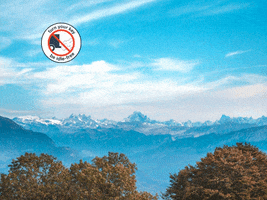 You Can Wow GIF by FranchiseONE.de