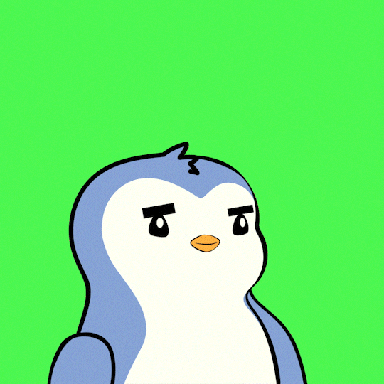 pudgypenguins giphyupload penguin pudgy pudgypenguins GIF