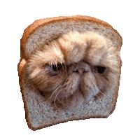 angry over it GIF by imoji