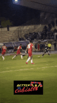 Semi-Finals Algeria GIF