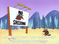 nickrewind nicksplat angry beavers GIF