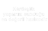 Abi Aile Sticker