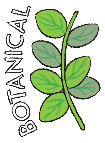 Formulate Skin Care Sticker by Formula Botanica