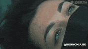 Bonhomiabelgium beauty brows pmu pmubrows GIF