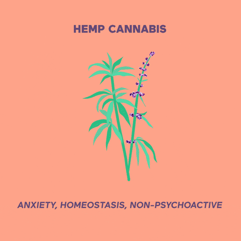 iamhilani giphyupload organic mental health self care GIF