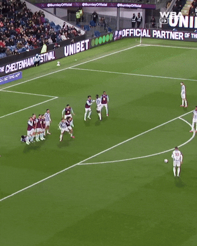 West Brom Goal GIF by West Bromwich Albion